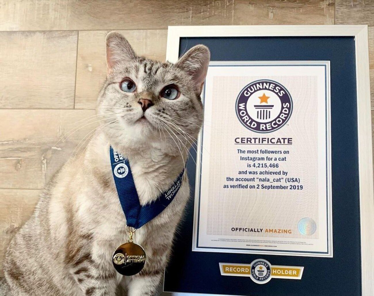 Їх статки шокують: ТОП-3 найбагатших домашніх улюбленців у світі (фото)